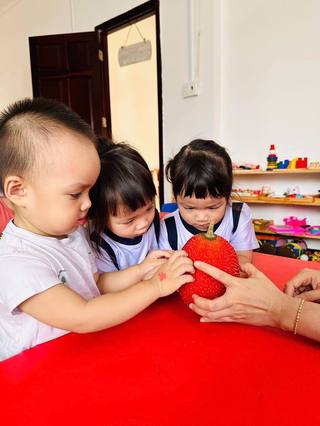 Khoảnh khắc tại Mầm non Bình Minh