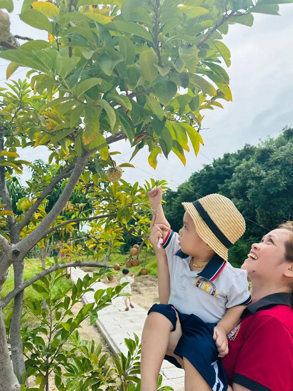 Bé làm vườn: Gieo hạt và chờ đợi mầm xanh